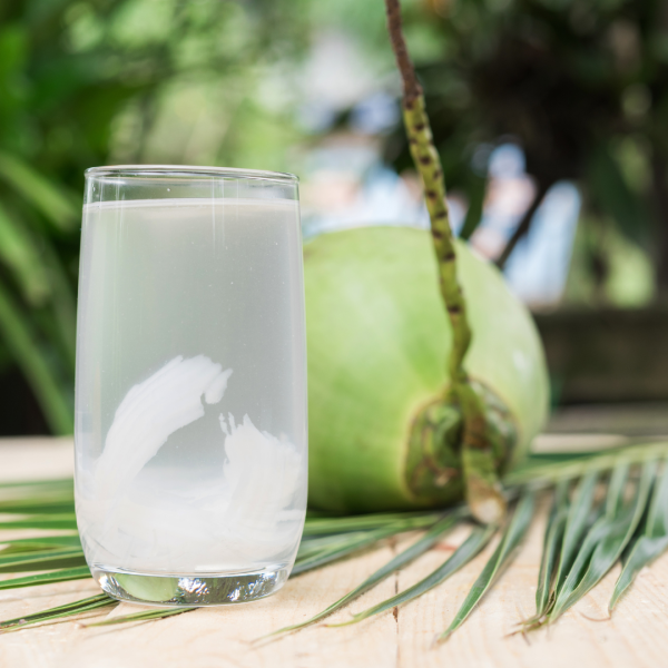 Es Kelapa Muda